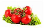 Branch of tomatoes on salad leaf isolated on white background