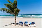 Relax under palm-tree on the dominican beach