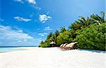 Beautiful tropical paradise in Maldives with palms hanging over the white and turquoise sea