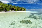 Beautiful tropical paradise in Maldives with coco palms hanging over the white and turquoise sea