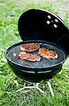 Grilled meat on a charcoal grill in the green grass