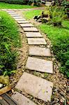 stone path in the garden