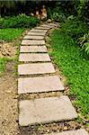 stone path in the garden