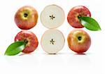 Slices of Gala Apple on white Background