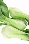 Close Up of Bok Choy