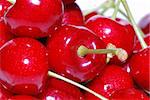 view big red juicy fresh cherries in the summer