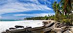 Tropical paradise on Sri Lanka with palms hanging over the mighty stones and a beach which is washed by a sea surf