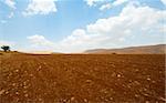 Plowed Field Against the Rocky Hills of Samaria, Israel