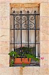 Israel Window Decorated With Fresh Flowers