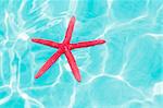 Red starfish floating on perfect tropical sea in ripple beach