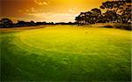 A golf green in warm tones