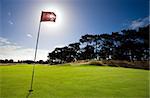 Sun shines behind a golf flag