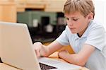 Focused boy using a laptop in a kitchen