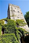 Italy - a Middle Age castle covered by ivy