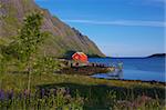 Fisherman's cottage with jetty on Lofoten Islands, Norway