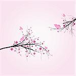 Beautiful blossom cherry and butterfly isolated on pink background