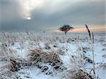 a winter day at a large natural area