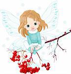 Winter Baby Fairy sitting on Ash Tree Branch