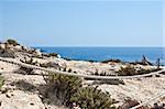 Blue Sea at Lampedusa - Sicily