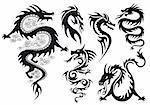 dragons tattoos with flames, vector set
