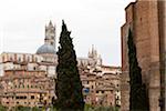 Siena Cathedral, Siena, Italy