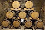 Interior of Wine Cellar, Tuscany, Italy