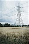 Wheat Field and Hydro Tower, Liverpool, Merseyside, England