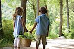 Children walking together in woods, carrying basket of fern fronds