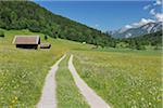 Route de campagne à travers la prairie, près de Geroldsee, Werdenfelser Land, Garmisch-Partenkirchen, Haute-Bavière, Allemagne