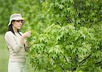 Woman looking at leaf on tree