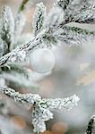 Christmas decoration on tree, close-up