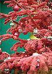 Christmas decorations on red christmas tree, close-up