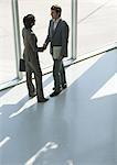 Business associates shaking hands, high angle view