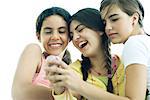 Young female friends looking at cell phone together, laughing