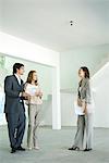 Female real estate agent showing house to young couple