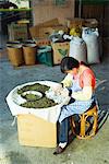 Woman sorting tea leaves in market