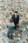 Two businessmen standing face to face, shaking hands, high angle view