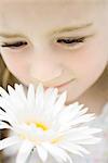 Little girl smelling gerbera daisy, close-up