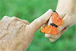 Hands of child and elderly person with butterfly, close-up