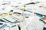 Plant seedling growing out of pile of newspapers