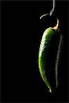 Green chili pepper