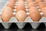Oeufs bruns frais en carton