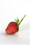 Fresh strawberry