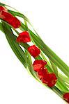 Pomegranate seeds arranged on blades of wheatgrass