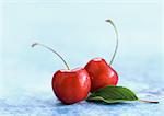 Two red cherries and a cherry leaf, close-up