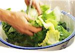 Close-up of hands washing lettuce