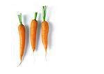 Trois carottes, pleine longueur