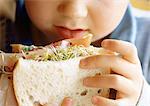 Young child eating sandwich, close-up.