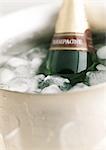 Bottle of champagne in ice bucket, close-up