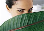 Femme regardant la caméra, feuille de palmier partiellement la couverture de visage, gros plan